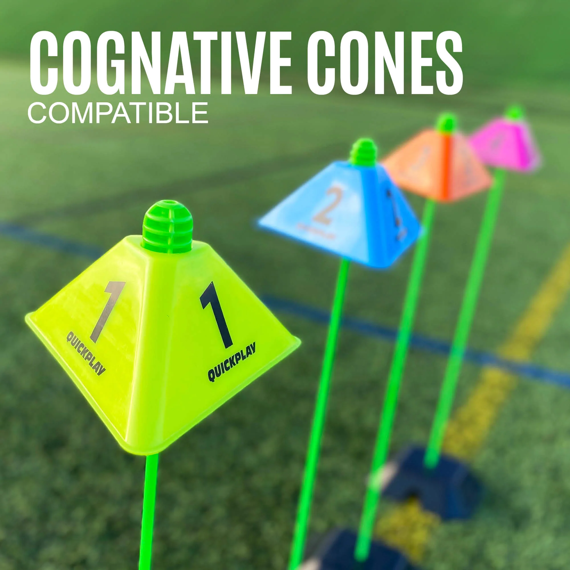 Agility Poles (set of 10) - Image 9